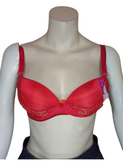 Lingyilu Red/Gold Padded Embroidered Women's Bra - 34