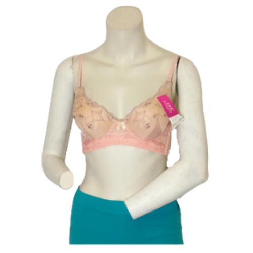 Lingyilu Salmon/Purple Embroidered Women's Bra - 36