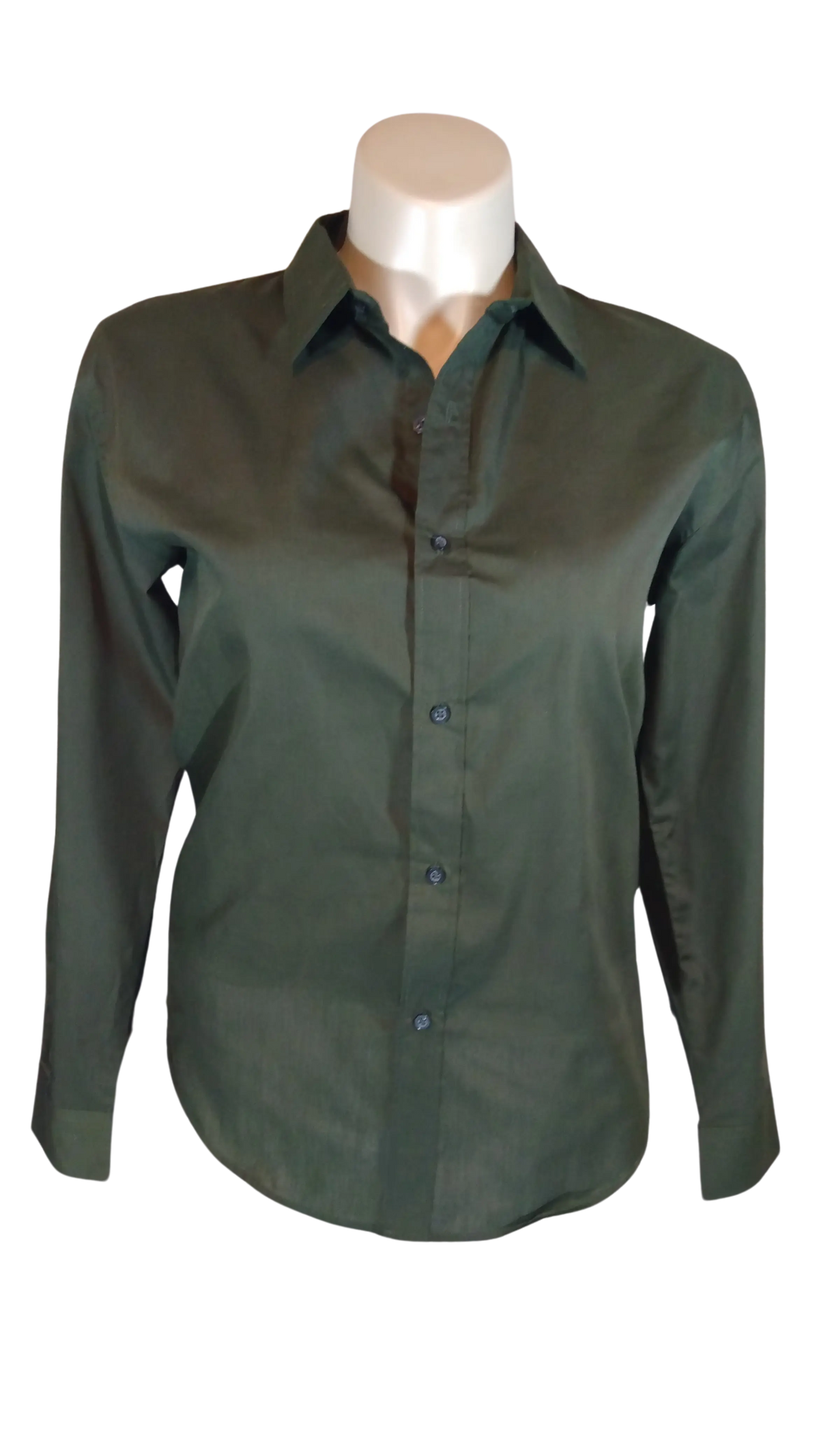 Sarwar Classic Men’s Green Sheer Long Sleeve Shirt, Size 3X