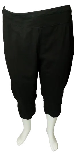 Danskin Now Women’s Black Sweatpants, Size 4X (26W-28W)