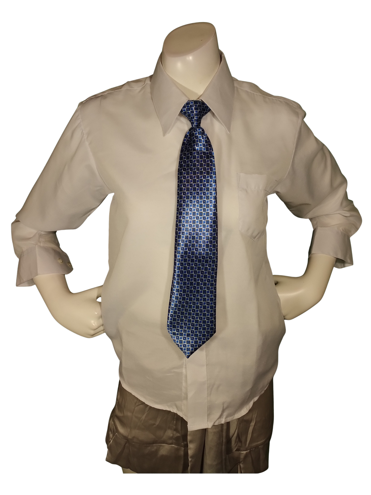 Villa D'Marco Blue Tie