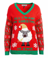 Derek Heart Red 'All I Want For Christmas is Ewe' Light-Up V-Neck Sweater