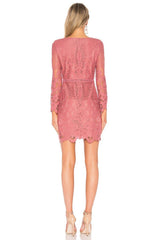 rose mini dress
