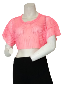 Glitz Mesh Hot Pink Crop Top