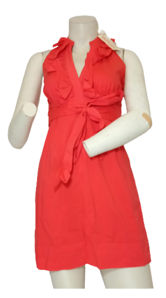 Minuet ruffled pleated waist dress